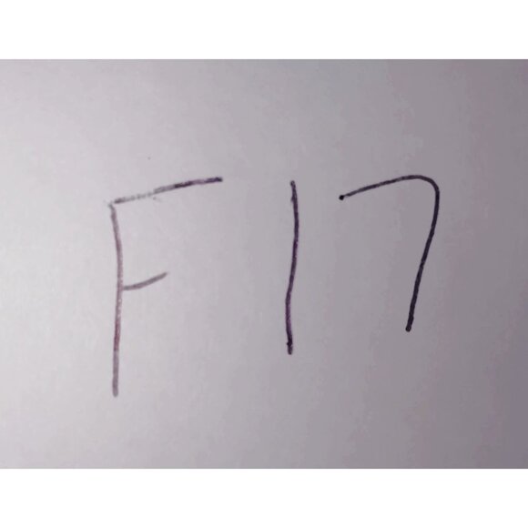 Frye Carson Women's Hidden Wedge Brown Leather Bootie Zip 5.5 - Picture 13 of 13